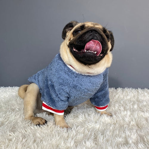 Cozy Pet Sweater